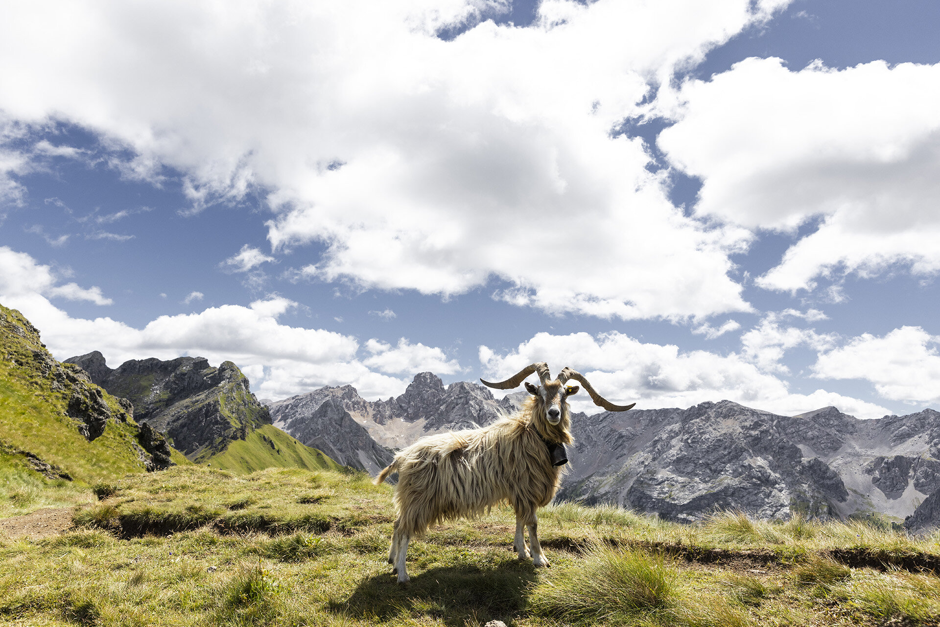 ApTValdiFassa 028 FEDERICO MODICA 2129 ApTValdiFassa 028 FEDERICO MODICA 2129