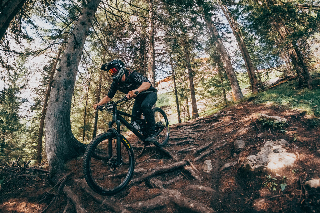 Electric Line Bike Park Electric Line Bike Park in Val di Fassa, Dolomiti
