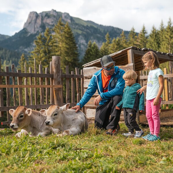 Cosa Fare In Famiglia Cosa Fare In Famiglia