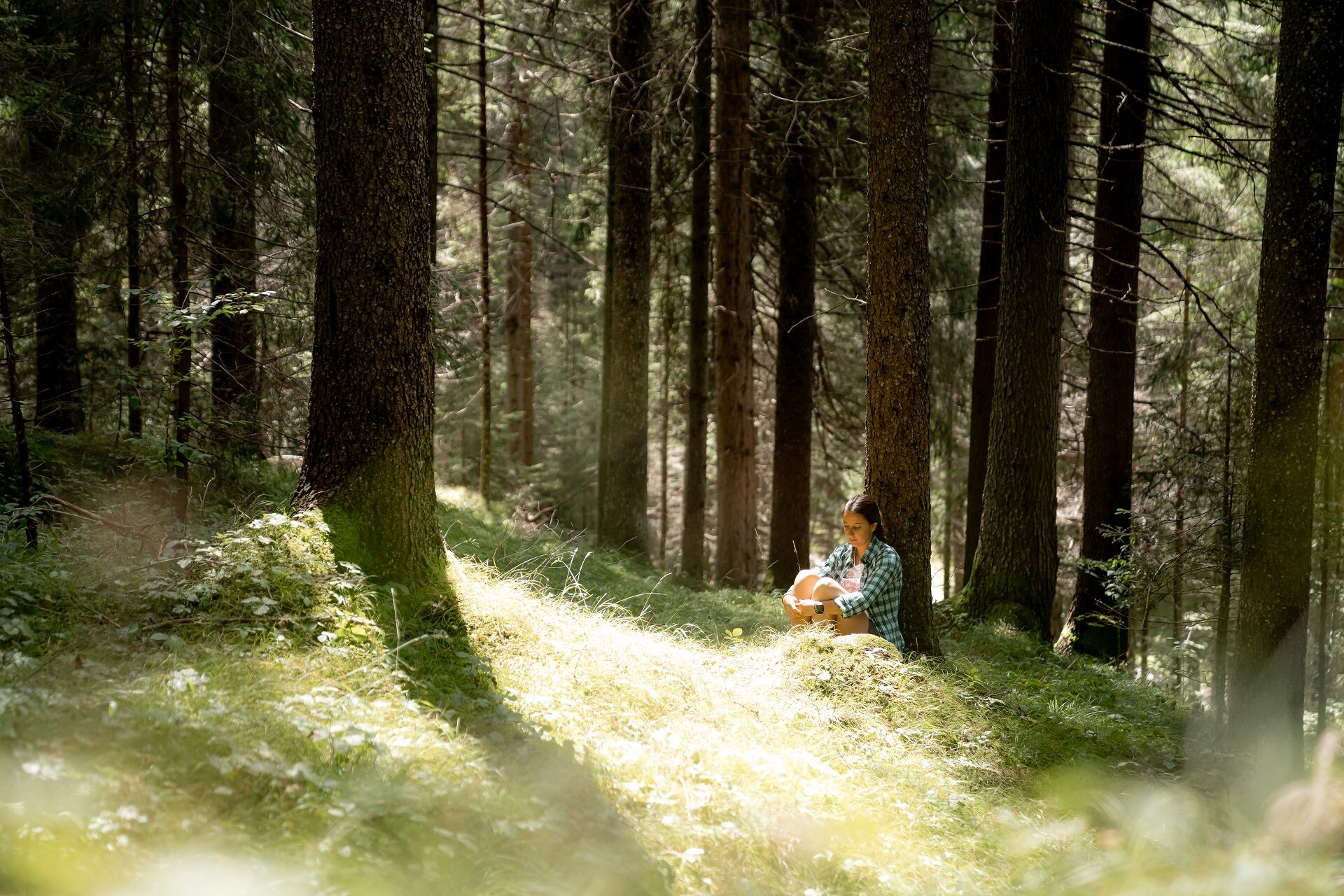 Forest Bathing | © Mattia Rizzi  - Archivio Immagini ApT Val di Fassa Forest bathing nei boschi della Val di Fassa | © Mattia Rizzi  - Archivio Immagini ApT Val di Fassa