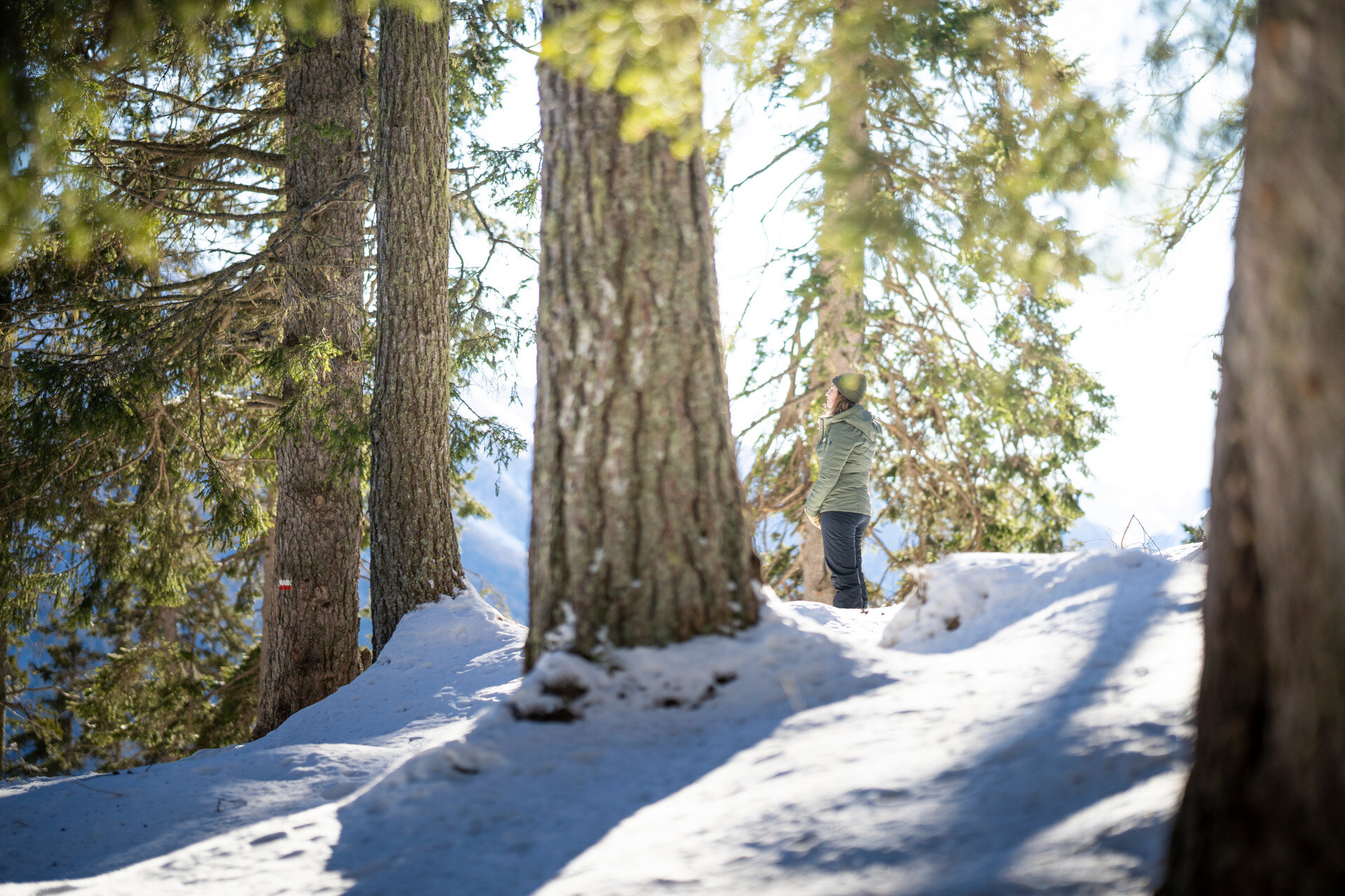 Benessere nei boschi innevati | © Giuseppe Vettori - Archivio ApT Val di Fassa Camminata nei boschi innevati | © Giuseppe Vettori - Archivio ApT Val di Fassa