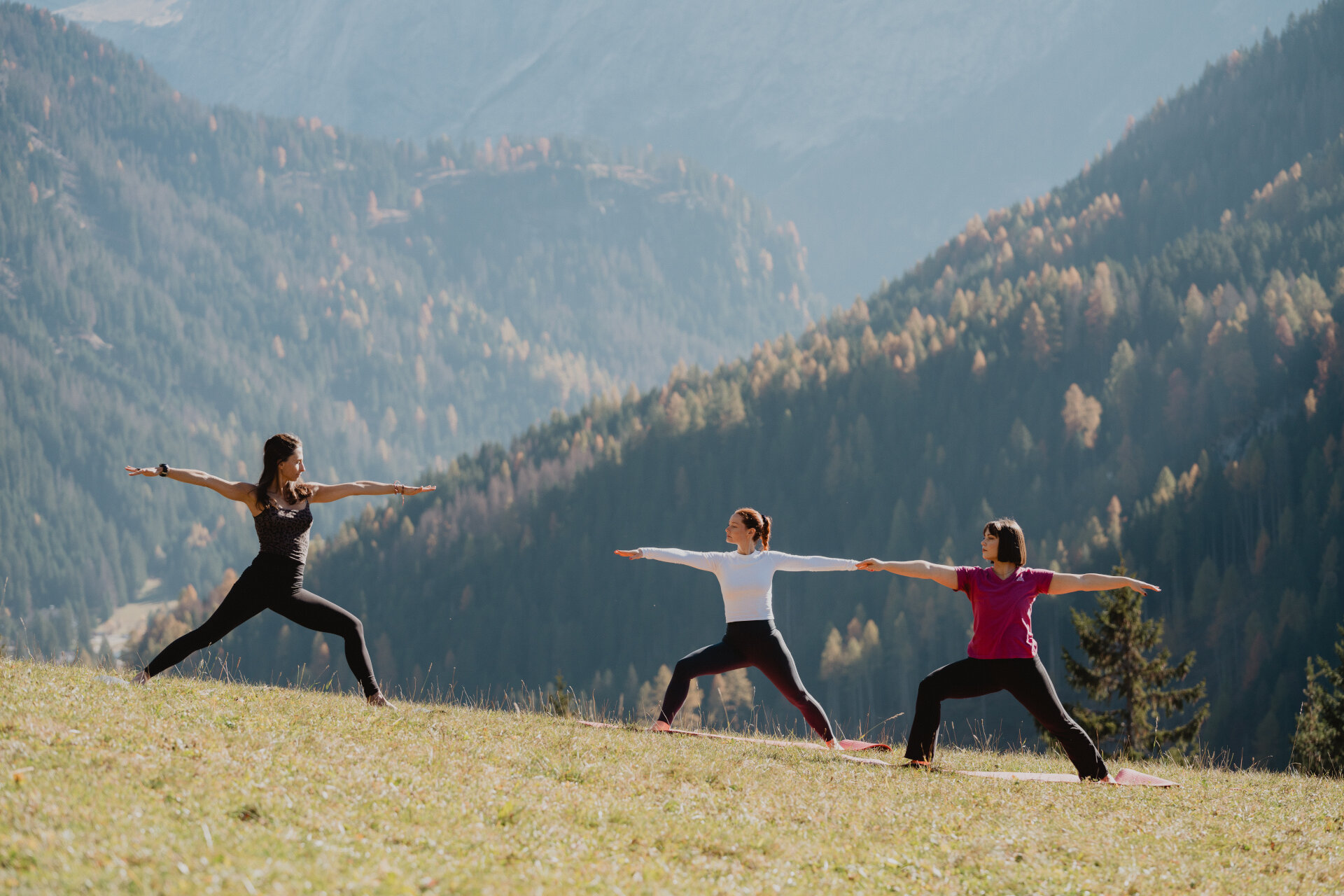 APTValDiFassa 036 MATTIA RIZZI 20241030 AUTUNNO MR55704 APTValDiFassa 036 MATTIA RIZZI 20241030 AUTUNNO MR55704