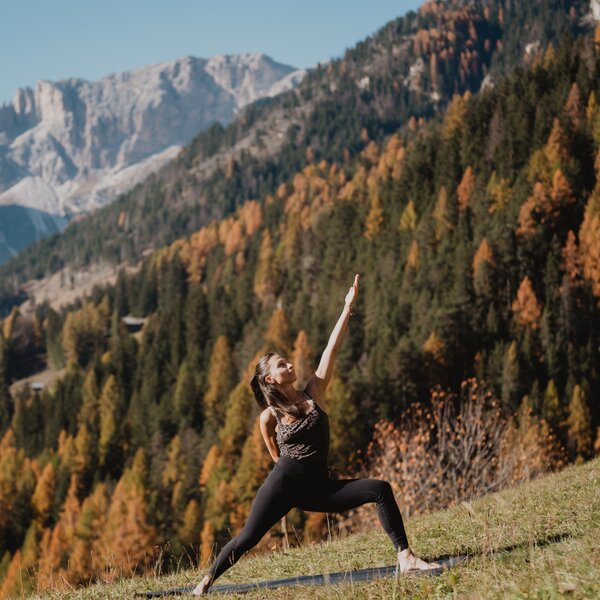 Pratiche Olistiche Pratiche Olistiche