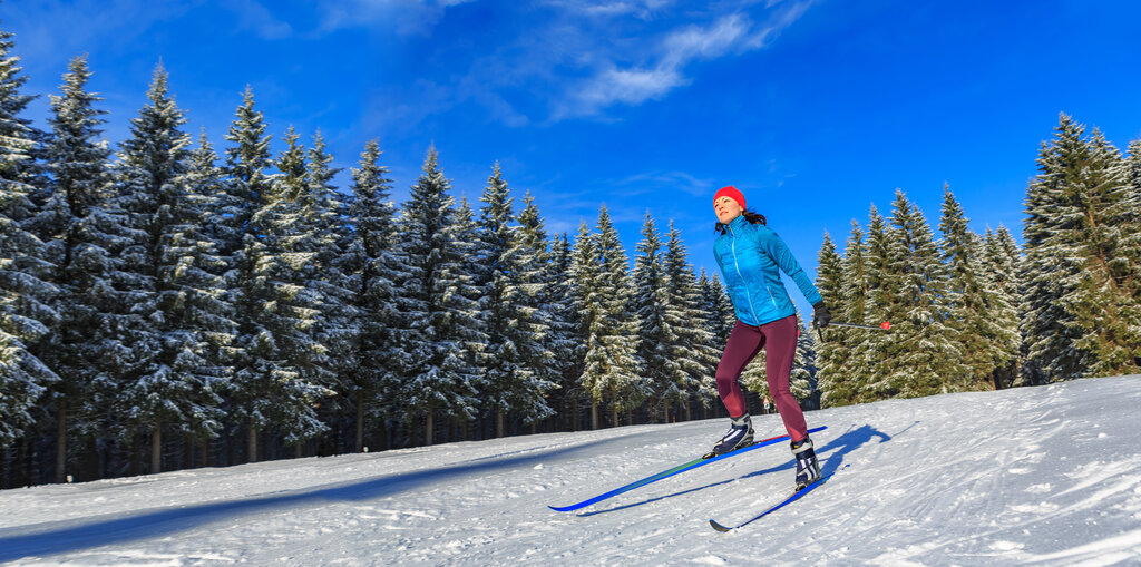 AdobeStock 290528969 AdobeStock 290528969