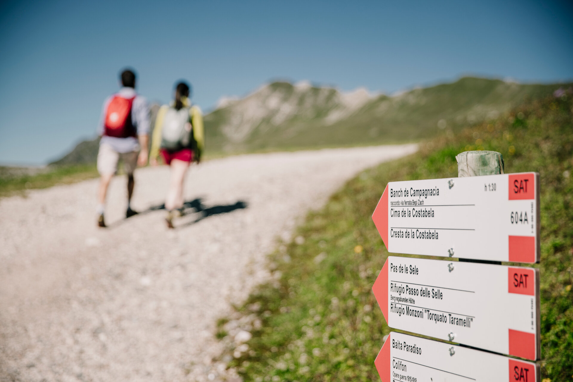 ApTValdiFassa 028 FEDERICO MODICA 2314 ApTValdiFassa 028 FEDERICO MODICA 2314