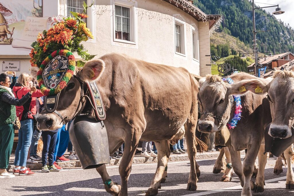 Festival del Puzzone Moena_1 Festival del Puzzone Moena_1