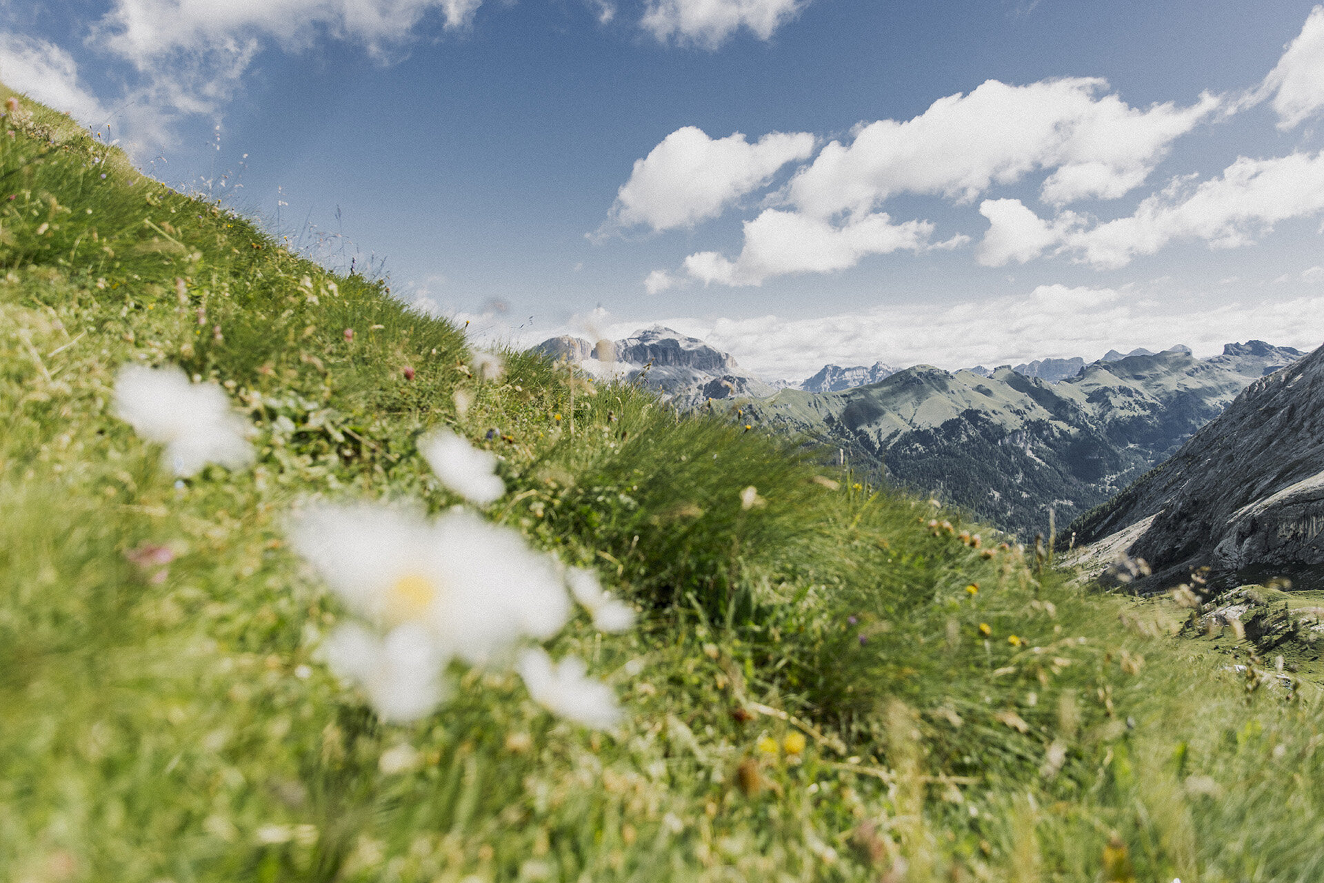 ApTValdiFassa 028 FEDERICO MODICA 2093 ApTValdiFassa 028 FEDERICO MODICA 2093