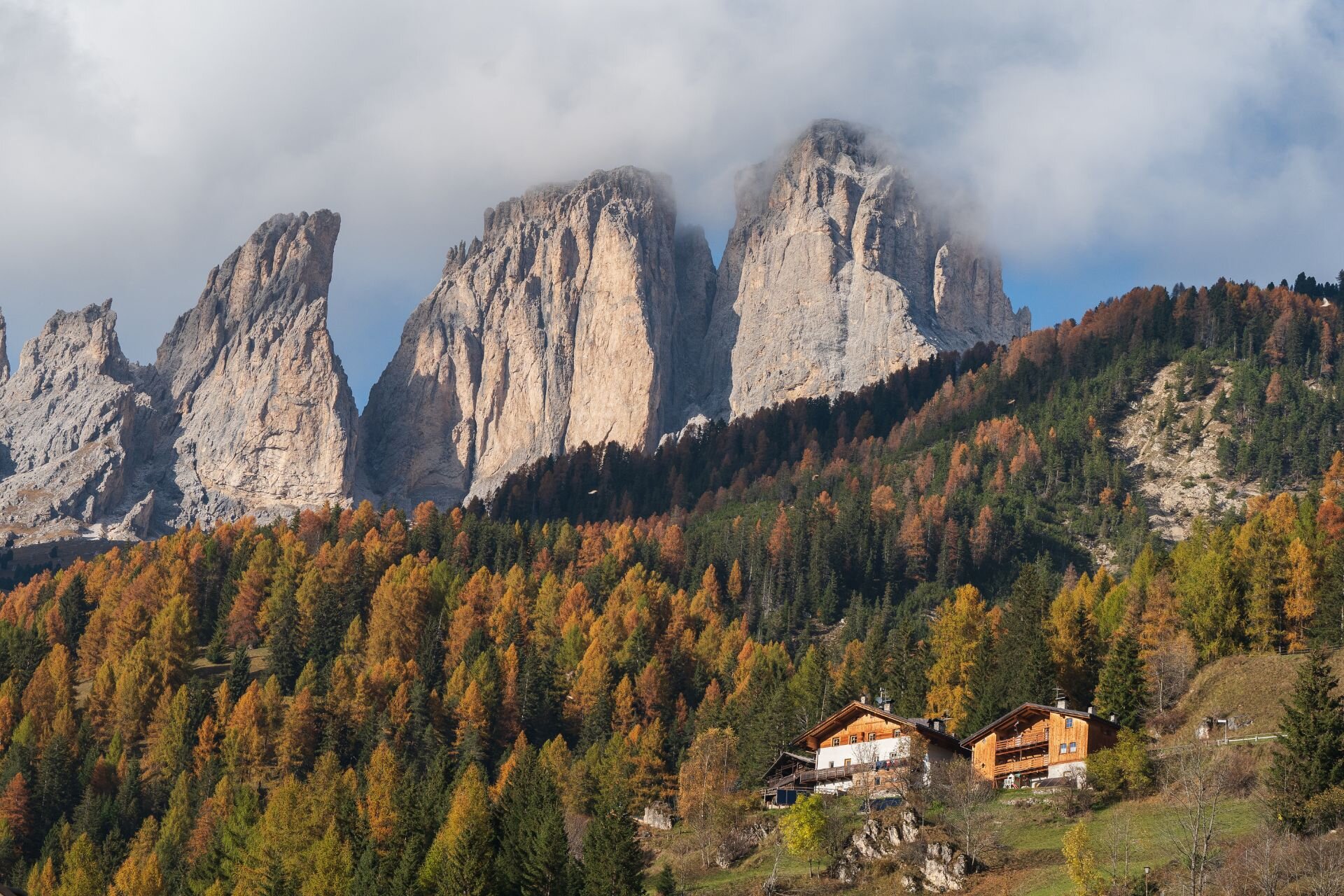 Autunno a Campitello | © Archivio immagini ApT Val di Fassa - Patricia Ramriez  Bosco dai colori autunnali a campitello di fassa | © Archivio immagini ApT Val di Fassa - Patricia Ramriez