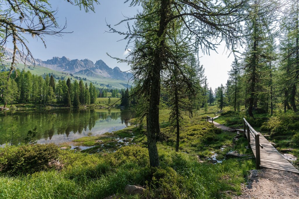 ApTValdiFassa 038 PATRICIA RAMIREZ 2196 ApTValdiFassa 038 PATRICIA RAMIREZ 2196