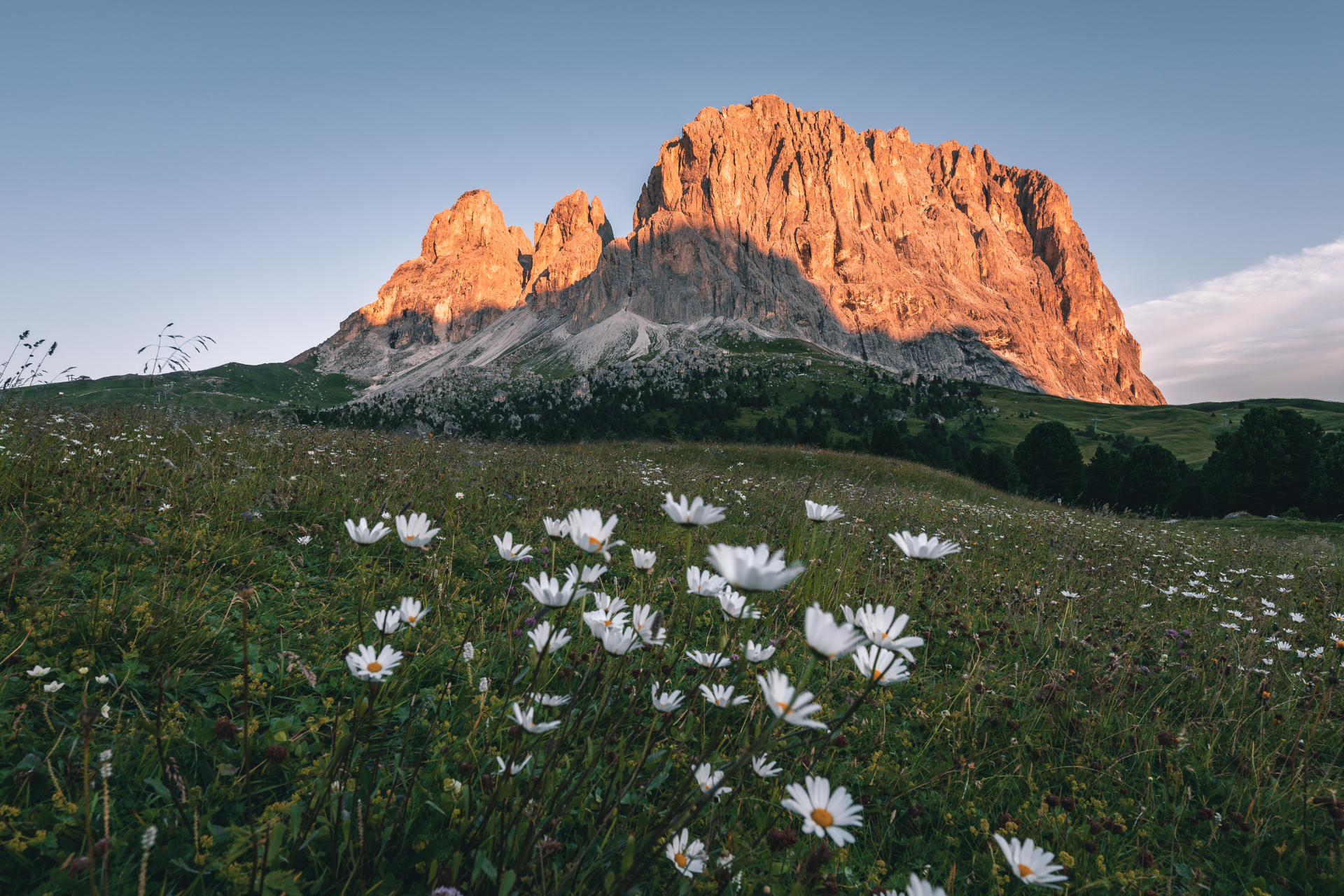 ApTValdiFassa 038 PATRICIA RAMIREZ 1893 ApTValdiFassa 038 PATRICIA RAMIREZ 1893