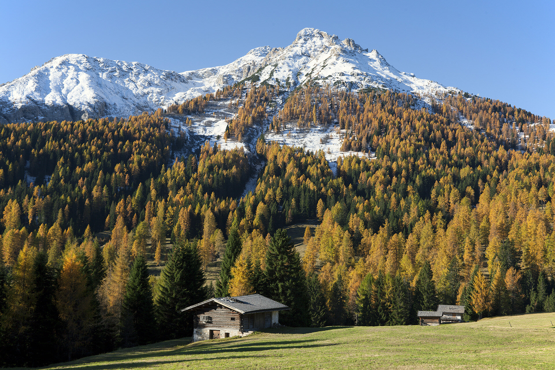 Passo Costalunga in autunno | © Nicola Angeli - Archivio Immagini APT Val di Fassa Passo Costalunga in autunno in Val di Fassa | © Nicola Angeli - Archivio Immagini APT Val di Fassa