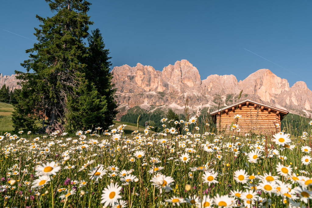 4ApTValdiFassa 038 PATRICIA RAMIREZ 2175 4ApTValdiFassa 038 PATRICIA RAMIREZ 2175