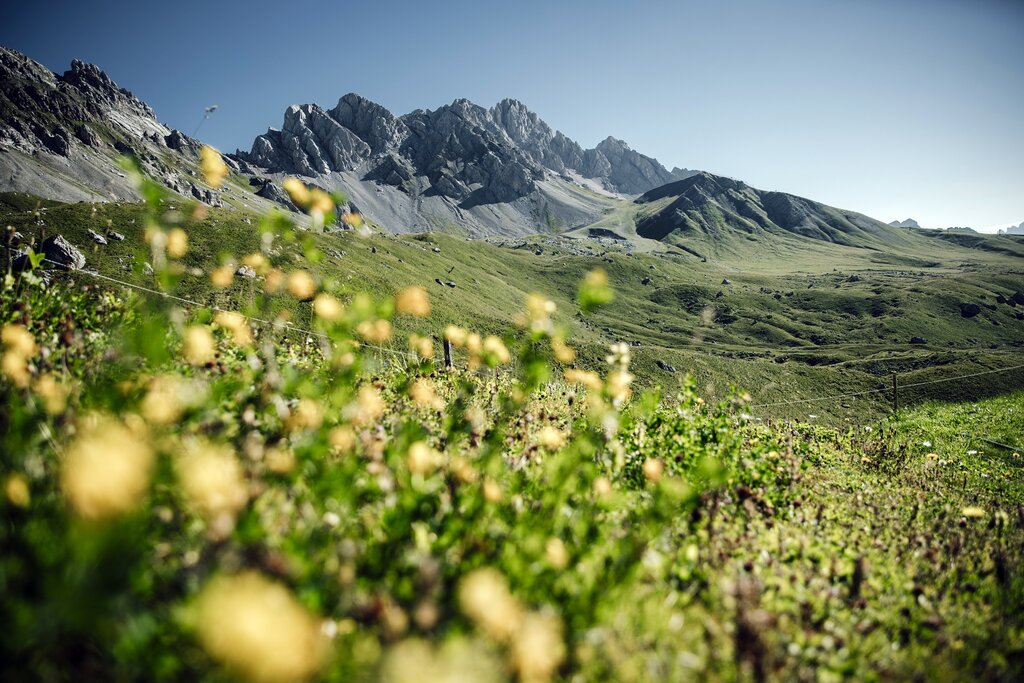 ApTValdiFassa 028 FEDERICO MODICA 2308 ApTValdiFassa 028 FEDERICO MODICA 2308