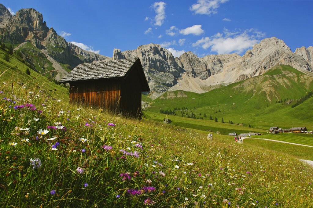 3 NICOLA ANGELI 169 3 NICOLA ANGELI 169