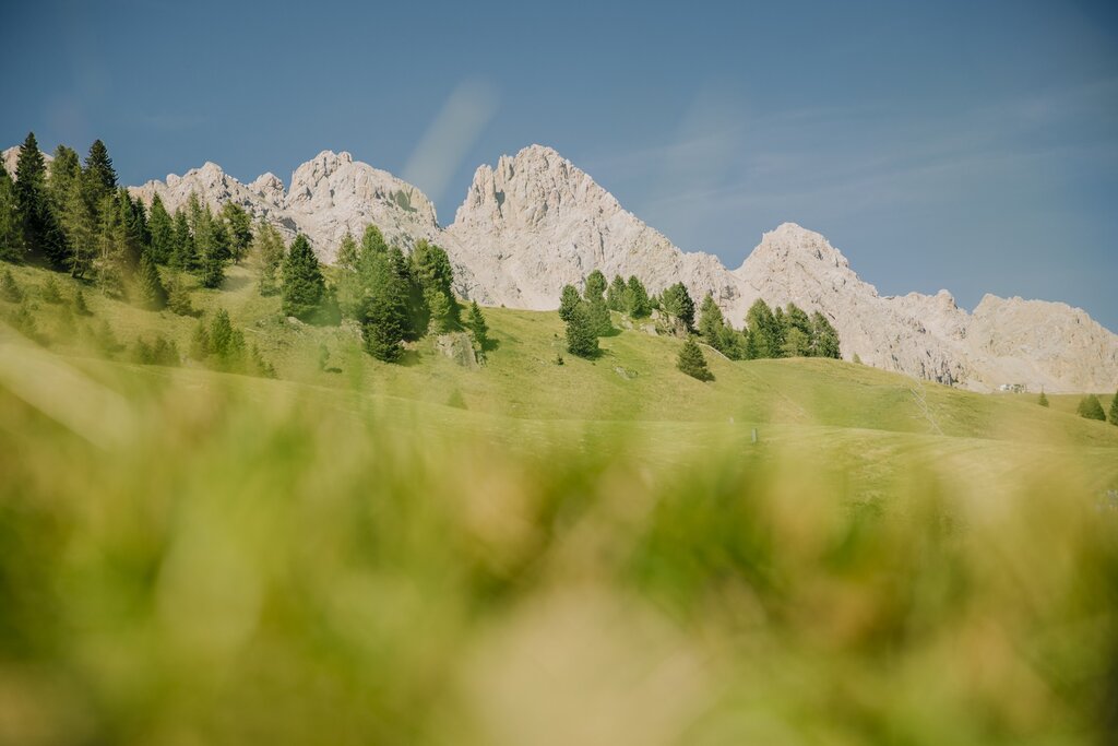 4ApTValdiFassa 028 FEDERICO MODICA 2458 4ApTValdiFassa 028 FEDERICO MODICA 2458