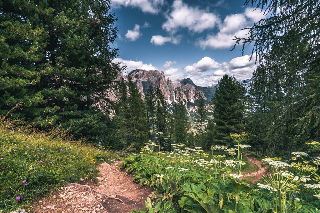 Ciampedie Sentiero nella natura al Ciampedie in Val di Fassa