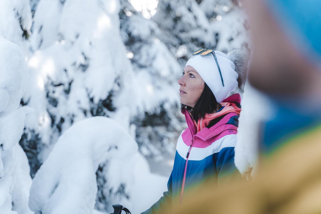 Forest Bathing Forest Bathing