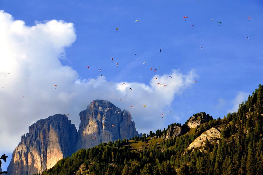 Images Trn 1 A7c682c5 C150 4db3 8f75 Ee5200afa13b 99 Image Images Trn 1 A7c682c5 C150 4db3 8f75 Ee5200afa13b 99 Image