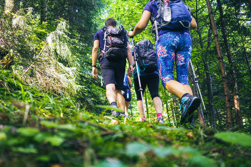 Content Dam Org 3 Images Full Rights Guide Alpine E Accompagnatori Adobestock 501016315 Content Dam Org 3 Images Full Rights Guide Alpine E Accompagnatori Adobestock 501016315