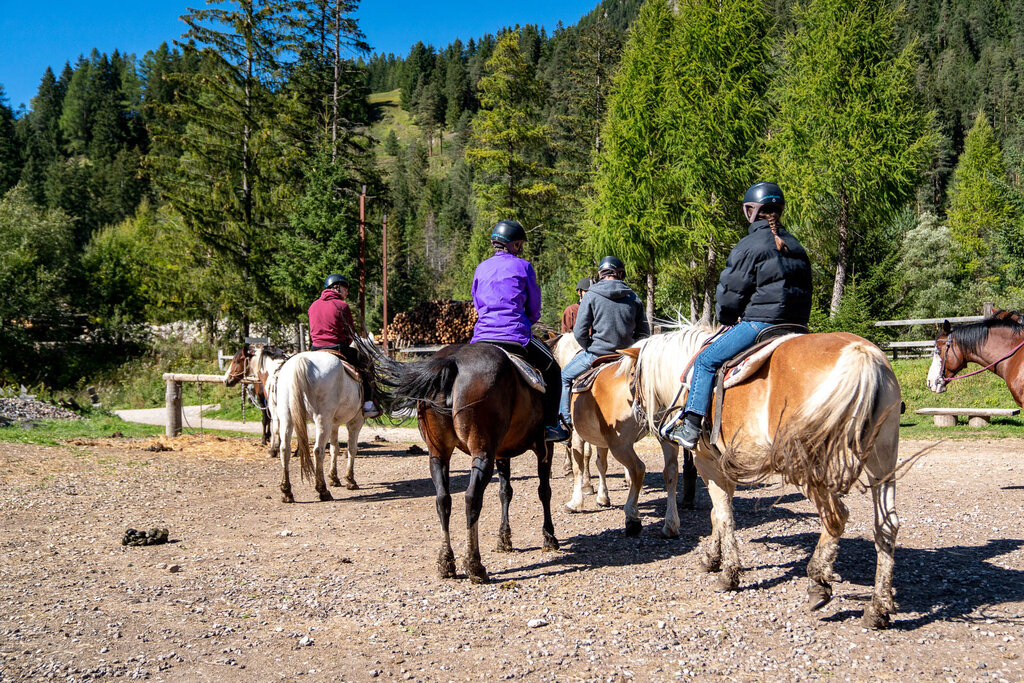 Content Dam Org 3 Images Full Rights Outdoor Equitazione   Maneggi Charlotte Horse Riding Apt Val Di Fassa Mrizzi Charlotte Horse Riding Campitello Est7 Content Dam Org 3 Images Full Rights Outdoor Equitazione   Maneggi Charlotte Horse Riding Apt Val Di Fassa Mrizzi Charlotte Horse Riding Campitello Est7