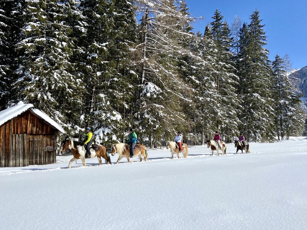Content Dam Org 3 Images Full Rights Outdoor Equitazione   Maneggi Charlotte Horse Riding Archivio Charlotte Horse Riding Campitello Inv10 Content Dam Org 3 Images Full Rights Outdoor Equitazione   Maneggi Charlotte Horse Riding Archivio Charlotte Horse Riding Campitello Inv10