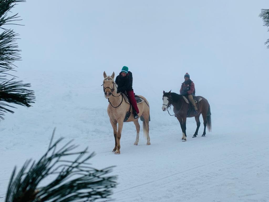 Content Dam Org 3 Images Full Rights Outdoor Equitazione   Maneggi Charlotte Horse Riding Archivio Charlotte Horse Riding Campitello Inv6 Content Dam Org 3 Images Full Rights Outdoor Equitazione   Maneggi Charlotte Horse Riding Archivio Charlotte Horse Riding Campitello Inv6