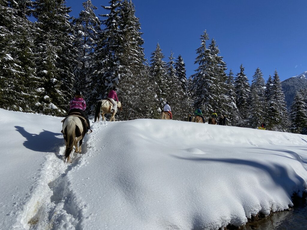 Content Dam Org 3 Images Full Rights Outdoor Equitazione   Maneggi Charlotte Horse Riding Archivio Charlotte Horse Riding Campitello Inv11 Content Dam Org 3 Images Full Rights Outdoor Equitazione   Maneggi Charlotte Horse Riding Archivio Charlotte Horse Riding Campitello Inv11