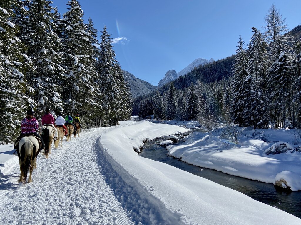 Content Dam Org 3 Images Full Rights Outdoor Equitazione   Maneggi Charlotte Horse Riding Archivio Charlotte Horse Riding Campitello Inv12 Content Dam Org 3 Images Full Rights Outdoor Equitazione   Maneggi Charlotte Horse Riding Archivio Charlotte Horse Riding Campitello Inv12