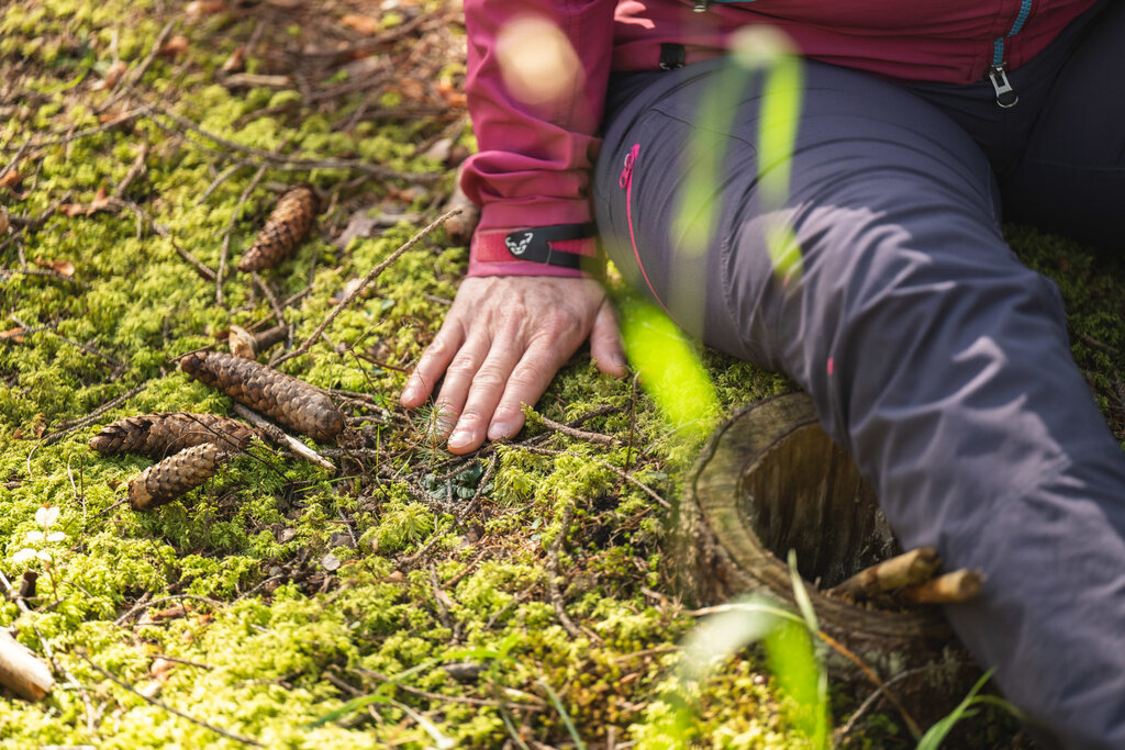 Content Dam Org 3 Images Full Rights Servizi Altri Servizi Katiuscia Rasom Archivio Dolometes Katiuscia Rasom Forest Bathing Primavera Estate Autunno 212 Content Dam Org 3 Images Full Rights Servizi Altri Servizi Katiuscia Rasom Archivio Dolometes Katiuscia Rasom Forest Bathing Primavera Estate Autunno 212