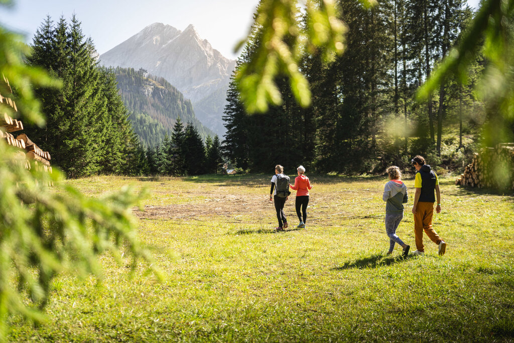 Content Dam Org 3 Images Full Rights Servizi Altri Servizi Katiuscia Rasom Archivio Dolometes Katiuscia Rasom Forest Bathing Estate Autunno 182 Content Dam Org 3 Images Full Rights Servizi Altri Servizi Katiuscia Rasom Archivio Dolometes Katiuscia Rasom Forest Bathing Estate Autunno 182