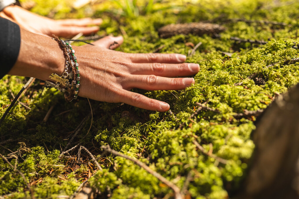 Content Dam Org 3 Images Full Rights Servizi Altri Servizi Katiuscia Rasom Archivio Dolometes Katiuscia Rasom Forest Bathing Primavera Estate Autunno 229 Content Dam Org 3 Images Full Rights Servizi Altri Servizi Katiuscia Rasom Archivio Dolometes Katiuscia Rasom Forest Bathing Primavera Estate Autunno 229