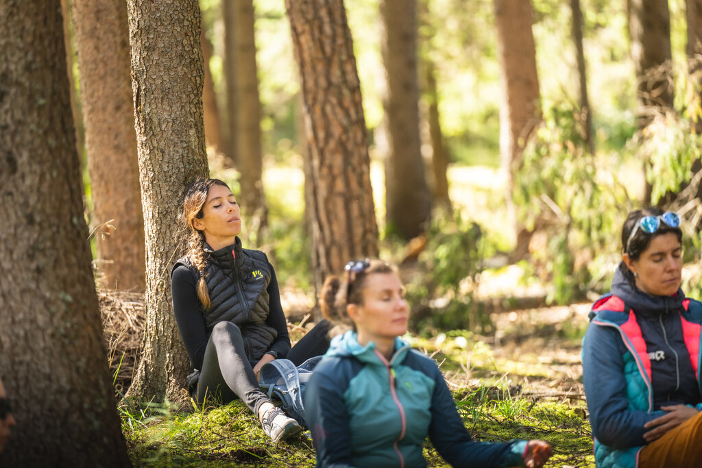 Content Dam Org 3 Images Full Rights Servizi Altri Servizi Katiuscia Rasom Archivio Dolometes Katiuscia Rasom Forest Bathing Primavera Estate Autunno 205 Content Dam Org 3 Images Full Rights Servizi Altri Servizi Katiuscia Rasom Archivio Dolometes Katiuscia Rasom Forest Bathing Primavera Estate Autunno 205