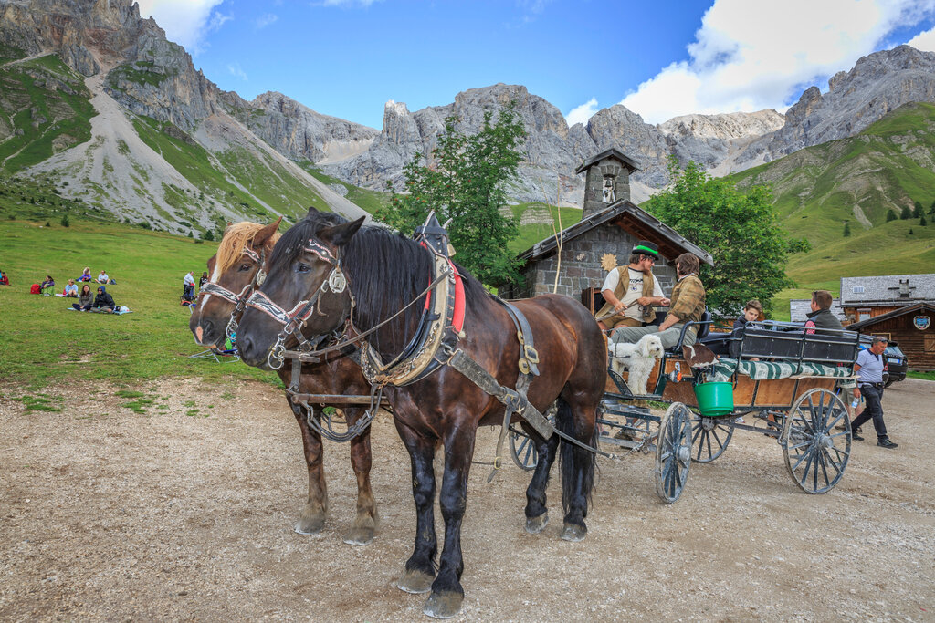 Content Dam Org 3 Images Full Rights Outdoor Defrancesco Michele Gite In Slitta Aptvaldifassa 038 Patricia Ramirez 595 Content Dam Org 3 Images Full Rights Outdoor Defrancesco Michele Gite In Slitta Aptvaldifassa 038 Patricia Ramirez 595
