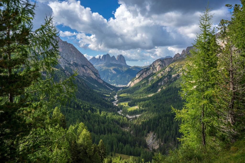 Content Dam Org 3 Images Full Rights Natura Val Contrin Val Contrin Archivio Apt Val Di Fassa Adobestock 457206907 Content Dam Org 3 Images Full Rights Natura Val Contrin Val Contrin Archivio Apt Val Di Fassa Adobestock 457206907
