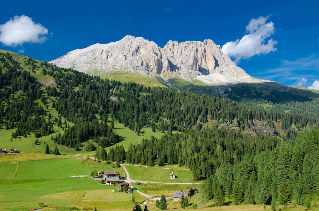 Content Dam Org 3 Images Full Rights Natura Val Duron Archivio Apt Val Di Fassa Pboso Val Duron Estate Content Dam Org 3 Images Full Rights Natura Val Duron Archivio Apt Val Di Fassa Pboso Val Duron Estate