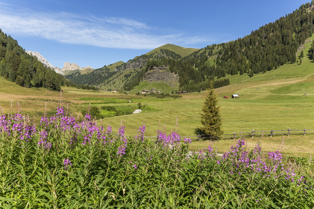 Content Dam Org 0 Images Full Rights Natura 33441 Content Dam Org 0 Images Full Rights Natura 33441