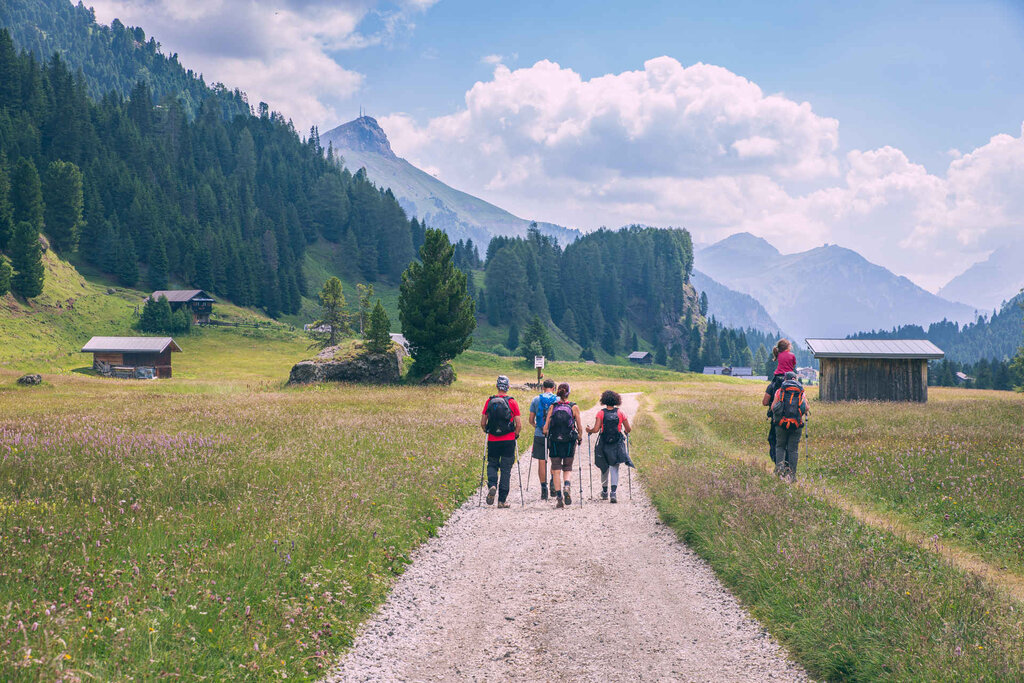 Content Dam Org 3 Images Full Rights Natura Val Duron Archivio Apt Val Di Fassa Pramirez Val Duron Estate Content Dam Org 3 Images Full Rights Natura Val Duron Archivio Apt Val Di Fassa Pramirez Val Duron Estate