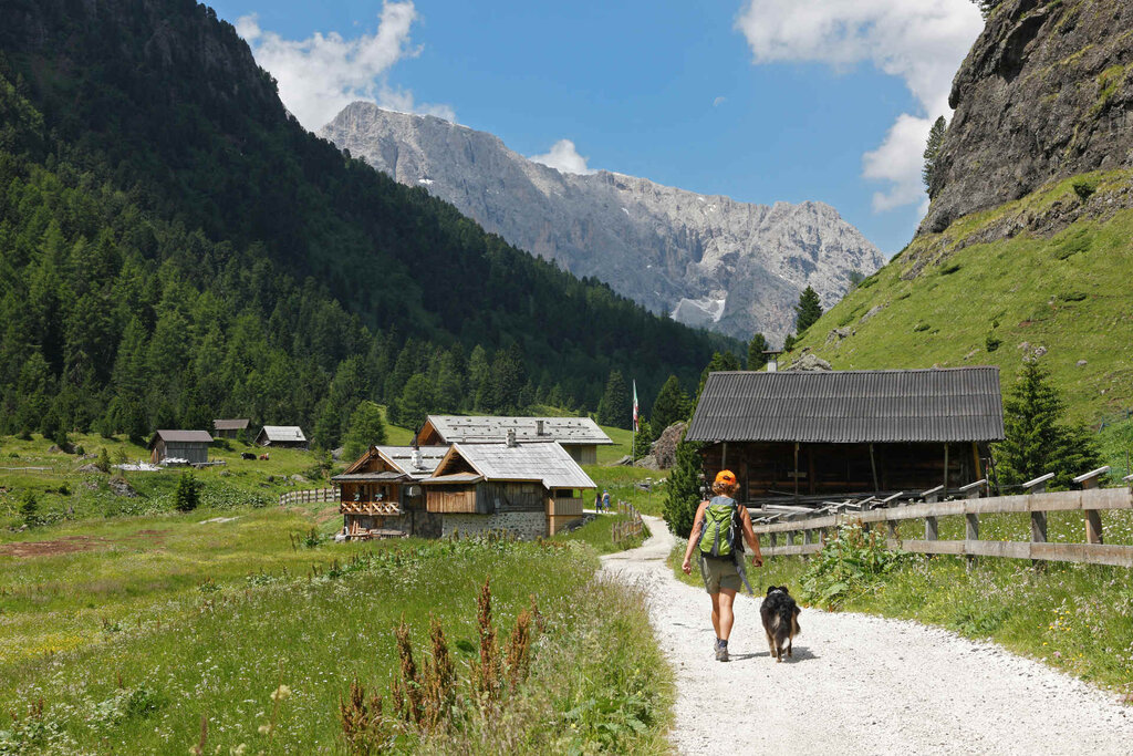 Content Dam Org 3 Images Full Rights Natura Val Duron Archivio Apt Val Di Fassa Nangeli Val Duron Estate 2 Content Dam Org 3 Images Full Rights Natura Val Duron Archivio Apt Val Di Fassa Nangeli Val Duron Estate 2