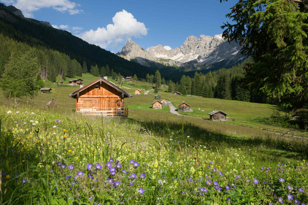 Content Dam Org 3 Images Full Rights Natura Val San Nicolo Archivio Apt Val Di Fassa Nangeli Val San Nicolo Est 2 Content Dam Org 3 Images Full Rights Natura Val San Nicolo Archivio Apt Val Di Fassa Nangeli Val San Nicolo Est 2
