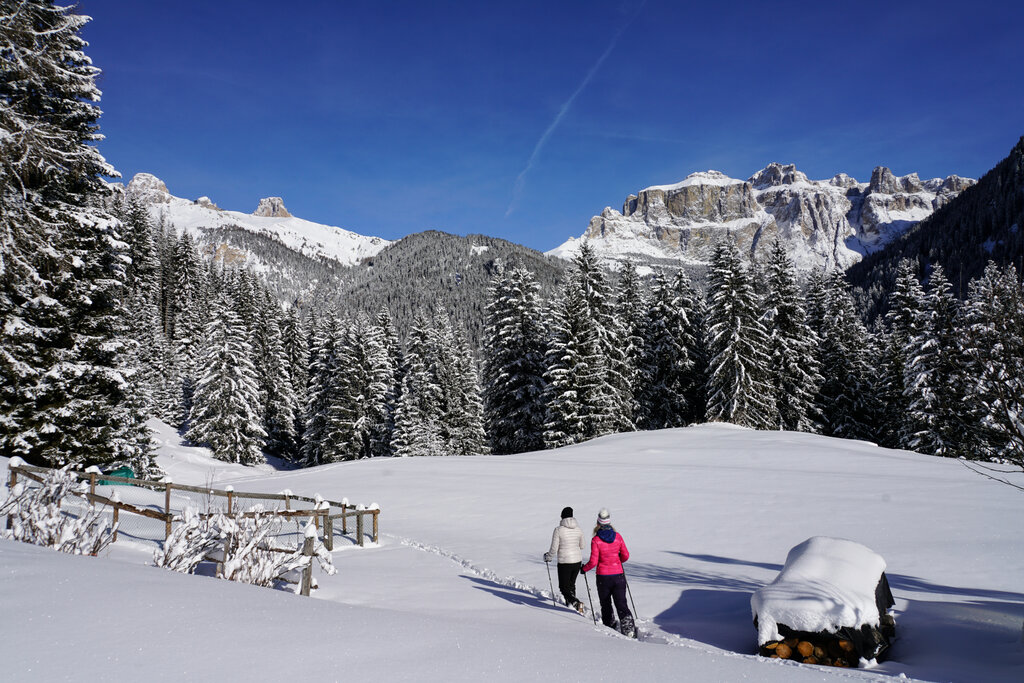 Content Dam Org 3 Images Full Rights Guide Alpine E Accompagnatori Aptvaldifassa 005 Marisa Montibeller 851 Content Dam Org 3 Images Full Rights Guide Alpine E Accompagnatori Aptvaldifassa 005 Marisa Montibeller 851